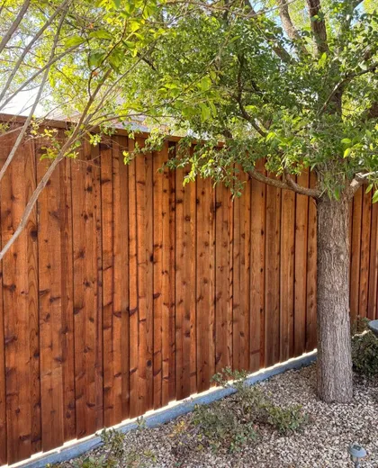 Stained cedar board-on-board fence behind trees and a birdbath