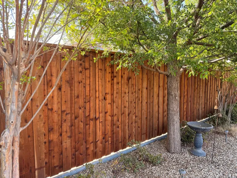 Stained cedar board-on-board fence behind trees and a birdbath